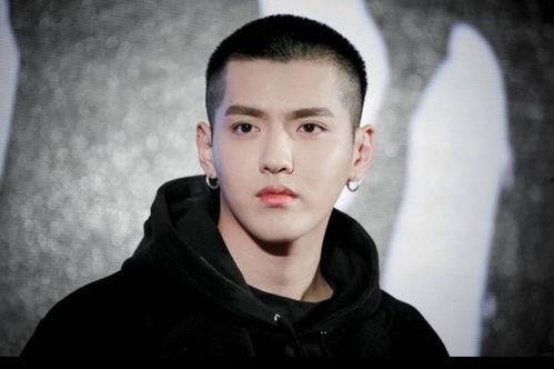 小八卦最新爆料杨紫肖战,神秘新剧引期待  第1张